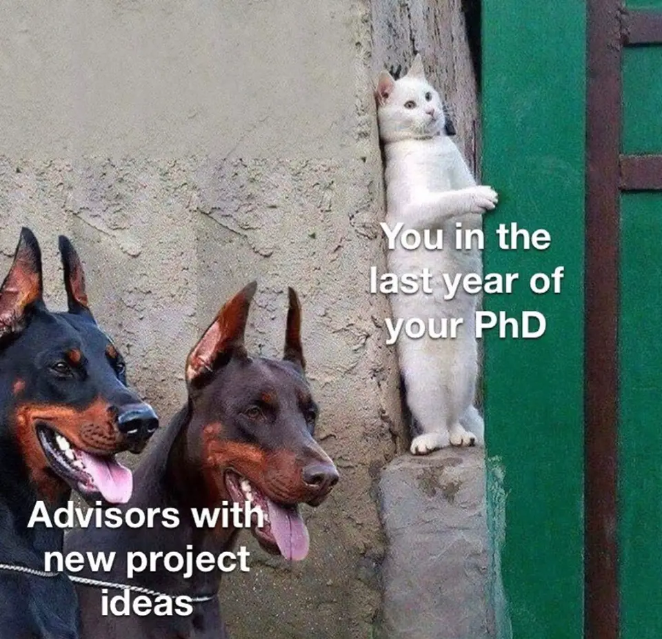 funny definition of phd