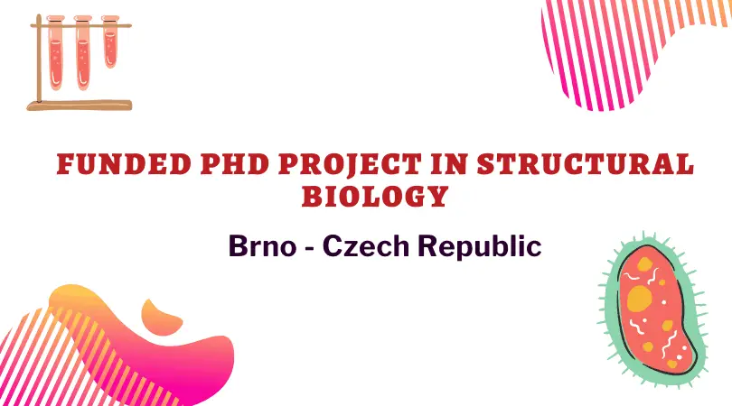 phd in structural biology