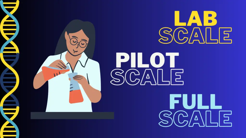 Scaling Up: A Comprehensive Comparison Between Laboratory-Scale, Pilot